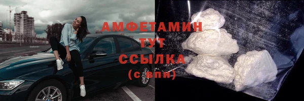 винт Пересвет
