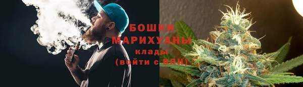 PSILOCYBIN Каменногорск