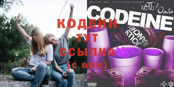 винт Пересвет
