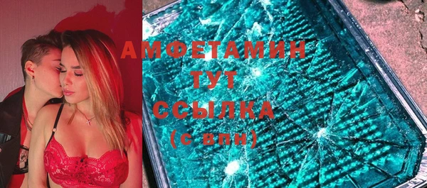 винт Пересвет