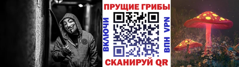 Галлюциногенные грибы Magic Shrooms Луховицы