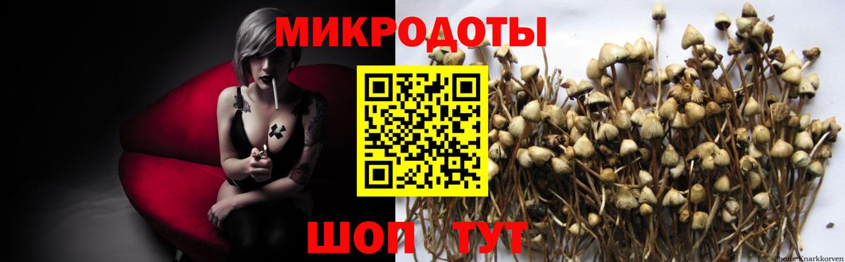Галлюциногенные грибы ЛСД  Вход с VPN  Луховицы  Галлюциногенные грибы Psilocybe 